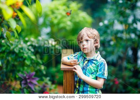 Little Blond Preschool Kid Boy Discovering Flowers And Butterflies At Botanic Garden