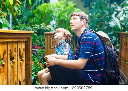 Father And Preschool Kid Boy Discovering Flowers, Plants And Butterflies At Botanic Garden. Family, 