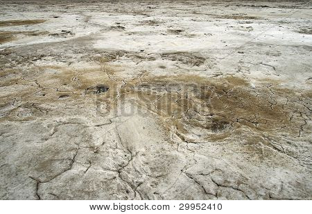 Salty Land