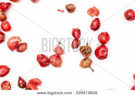 Lot Of Whole Dry Peruvian Pink Pepper Flatlay Isolated On White Background