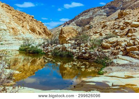 The canyon and sky are reflected in the water. Creek Zin flows through the canyon Ein Avdat in the Negev desert, Israel. The concept of ecological, photo and active tourism