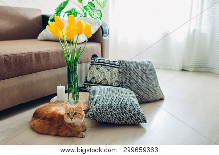 Details Of Modern Living Room Interior. Tatami Straw Cushion Decorated With Flowers And Pillow On Th