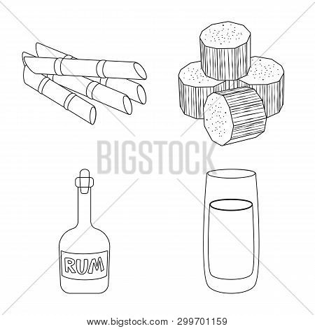 Vector Illustration Of Sugar And Field Logo. Collection Of Sugar And Plantation Stock Vector Illustr