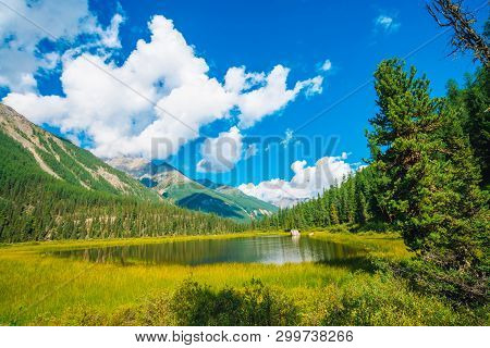 Beautiful Mountain Lake Before Giant Mountains Under Blue Sky With White Clouds. Forest Edge On Slop