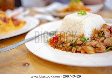 Spicy Fried Pork Thai Food With Herb Serve