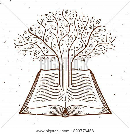 Tree Growing From Text Lines Of An Open Vintage Book Education Or Science Knowledge Concept, Educati