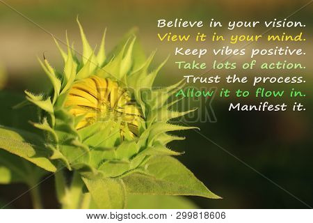 Inspirational Motivational Quote With Nature- Believe In Your Vision, Keep Vibes Positive, Take Lots