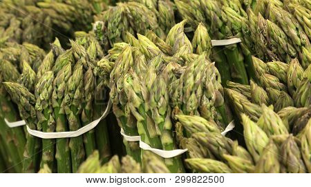 Background Bundles Of Green Cultivated Asparagus For Sale