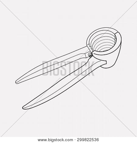 Nutcracker Icon Line Element.  Illustration Of Nutcracker Icon Line Isolated On Clean Background For