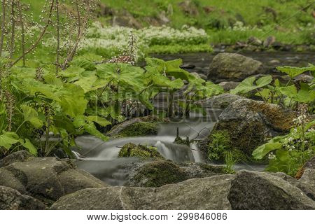 Spring Small River Olesnice Near Zlate Hory Town With Color Stone