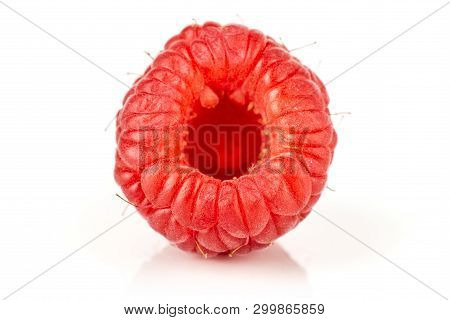 One Whole Hollow Fresh Red Raspberry Isolated On White Background