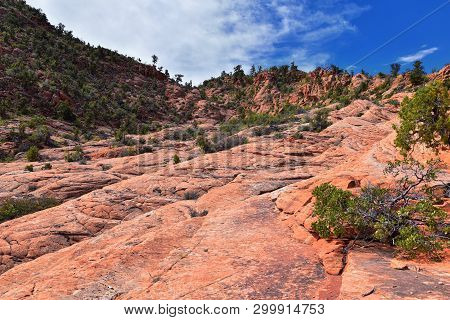 Views From The Lower Sand Cove Trail To The Vortex Formation, By Snow Canyon State Park In The Red C
