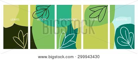 Social Media Stories Banners Set, Story, Floral Templates For Cover, Flyer, Brochure, Vector Backgro