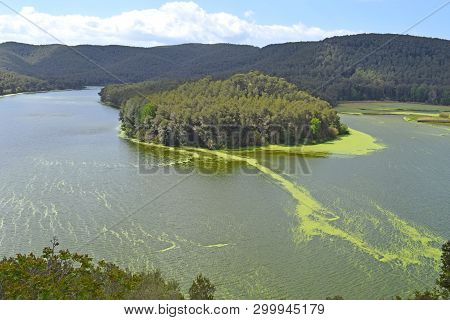 Pantano De Foix In The Province Of Barcelona