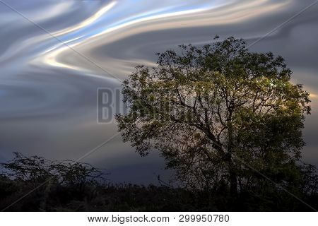Sunset Time Shot Of Tree And Sun With Colorful Clouds.