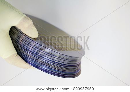 Silicon Waffles Of Different Colors In The Range Are In The Gloved Hand