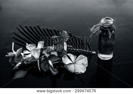 Herbal And Floral Essence Or Concentration Made From Rosmarinus Officinalis Also Known As Rosemarry