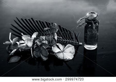 Herbal And Floral Essence Or Concentration Made From Rosmarinus Officinalis Also Known As Rosemarry