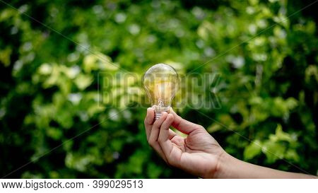 Hand Holding Light Bulb,natural Energy And Love The World Concept.