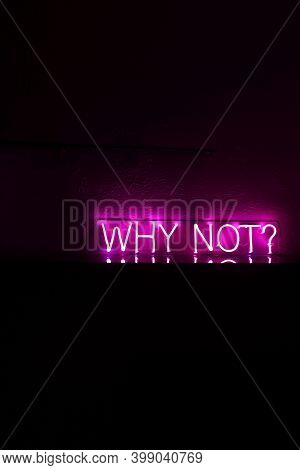 Pink Neon Sign Why Not?. Trendy Style. Neon Sign. Custom Neon. Home Decor.