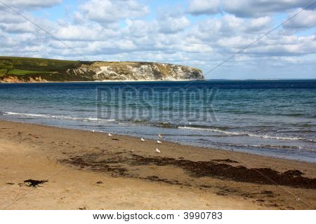 Swanage Beach i Dorset skały