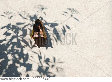 Wooden Birdhouse And Tree Shadow On A Light Cement Wall