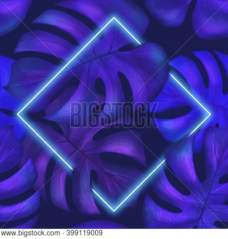 Fluorescent Philadendron Leaves With Blue Neon Light