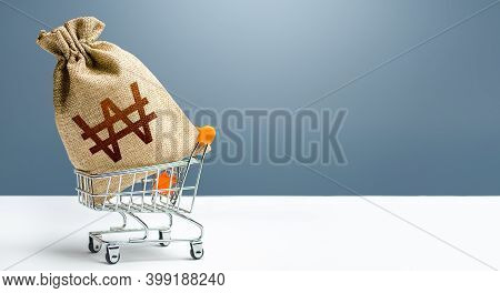 South Korean Won Money Bag In A Shopping Cart. Profits And Super Profits. Minimum Living Wage. Publi