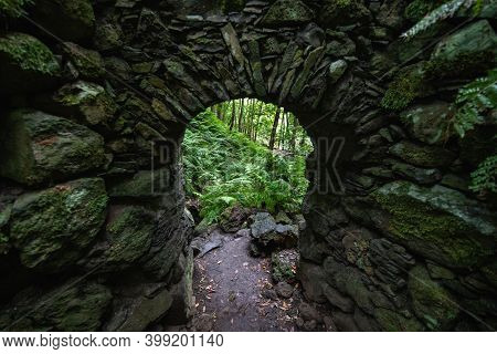 Stone Arch Inside A Forest Full Of Ferns