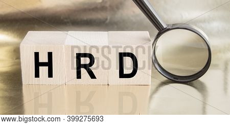The Word Hrd Is Made Of Wooden Building Blocks, Human Resource Department Concept.