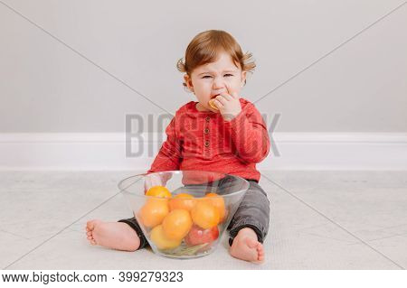 Cute Adorable Caucasian Baby Boy Eating Citrus Fruit Tangerine Orange. Finny Child Eating Healthy Or