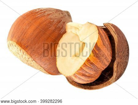 Hazelnuts Isolated On White Background. Hazelnutss Macro, Halved And Whole