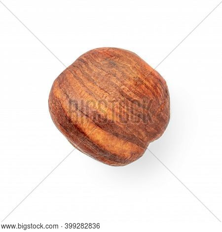 One Hazelnut Isolated On White Background. Top View. Flat Lay