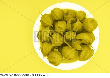 Chinese Lantern Physalis Franchetii Berries On Yellow Background