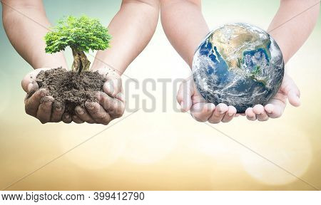 World Environment Day Concept. Two Human Hands Holding Earth Globe And Big Tree Over Blurred Nature 