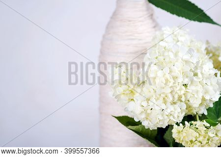 White Hydrangea Flowers In A Glass Vase. Close Up, Place For Text, Copyspace.