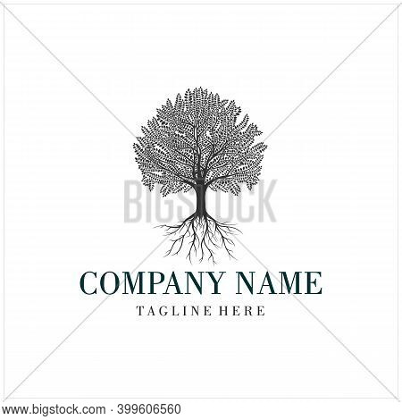 Beauty Family Tree Of Life Oak Banyan Maple Logo Design Vector