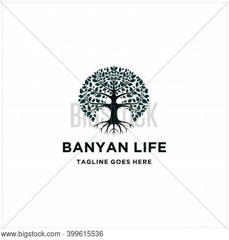 Tree Of Life, Oak Banyan Leaf And Root Logo Design Inspiration