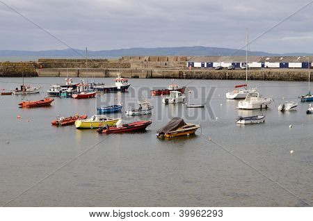 Harbor