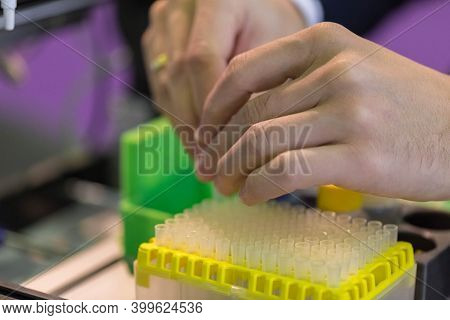 The Lab Technician Puts The Sample In The Autosampler Automatic Sampling Device. High-tech In The La