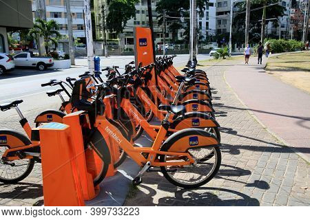 Shared Bicycle Rental Station