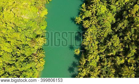 River In The Mountain Jungle Covered With Green Trees. Loboc River In A Rainforest In A Mountain Can