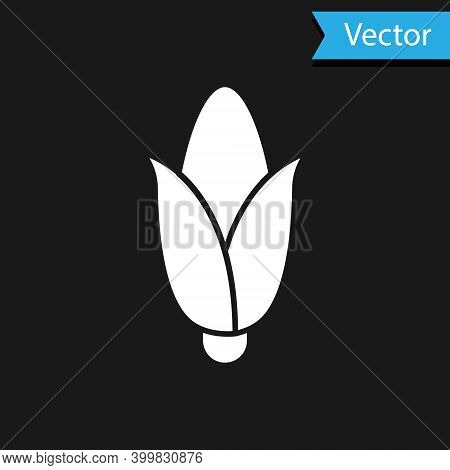 White Corn Icon Isolated On Black Background. Vector