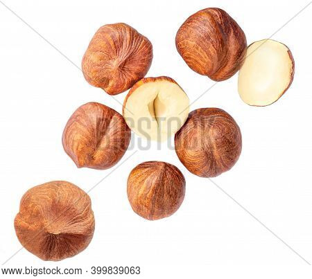 Flying Hazelnuts Isolated On White Background. Top View. Flat Lay