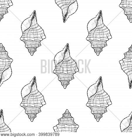 Seashell Seamless Pattern. Marine Life Ocean Floor Hand Drawn Ink Doodle Sketch Outline. Background 