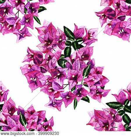Seamless Pattern With Flowers Of Bougainvillea. Hand Drawn Watercolor Illustration. Good Design For 