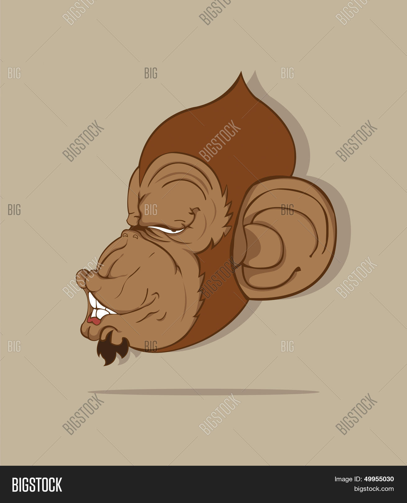 Image Preview