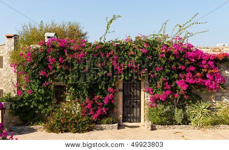 House In Old Datca