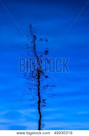 Reflection