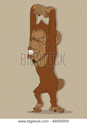 monkey vector